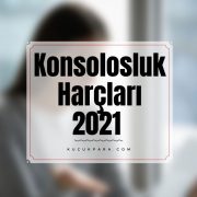 Konsolosluk Harçları 2021 Yılında Ne Kadar Oldu?