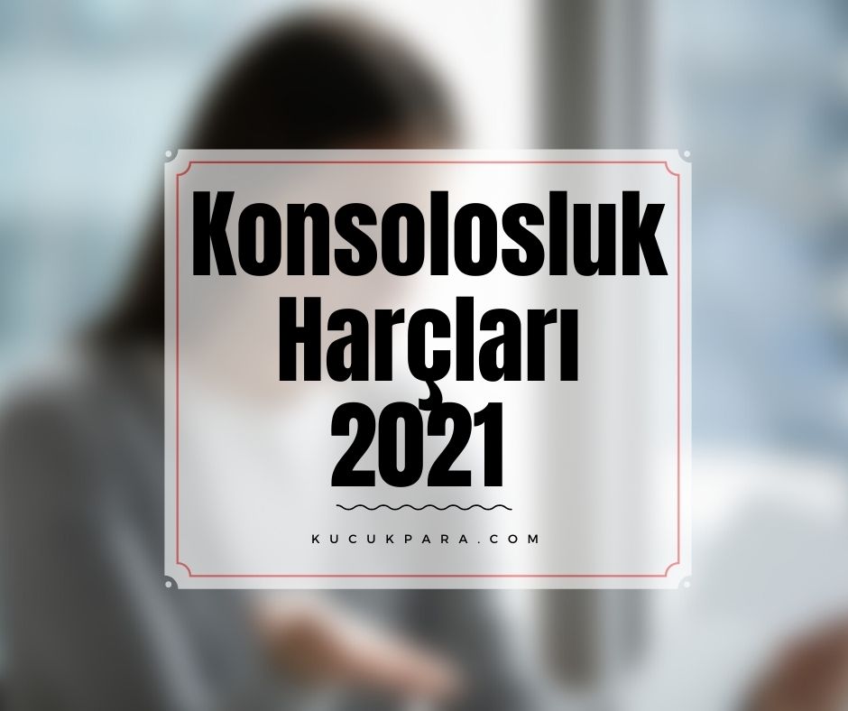 Konsolosluk Harçları 2021 Yılında Ne Kadar Oldu?