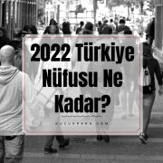 2022 Türkiye Nüfusu Ne Kadar? İstanbul Nüfusu Kaç Oldu?
