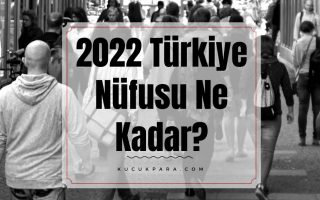 2022 turkiye nufusu